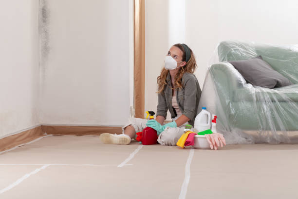 Reliable Mold Removal contractor in Springfield, IL by WQB Mold Removal